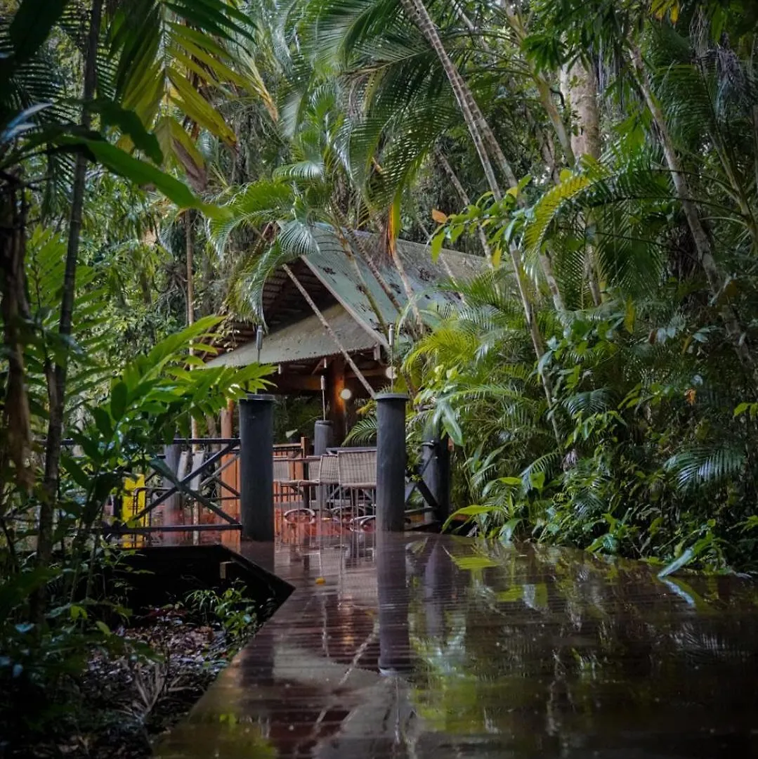 Ferntree Rainforest Lodge Cape Tribulation 0*,  Australien