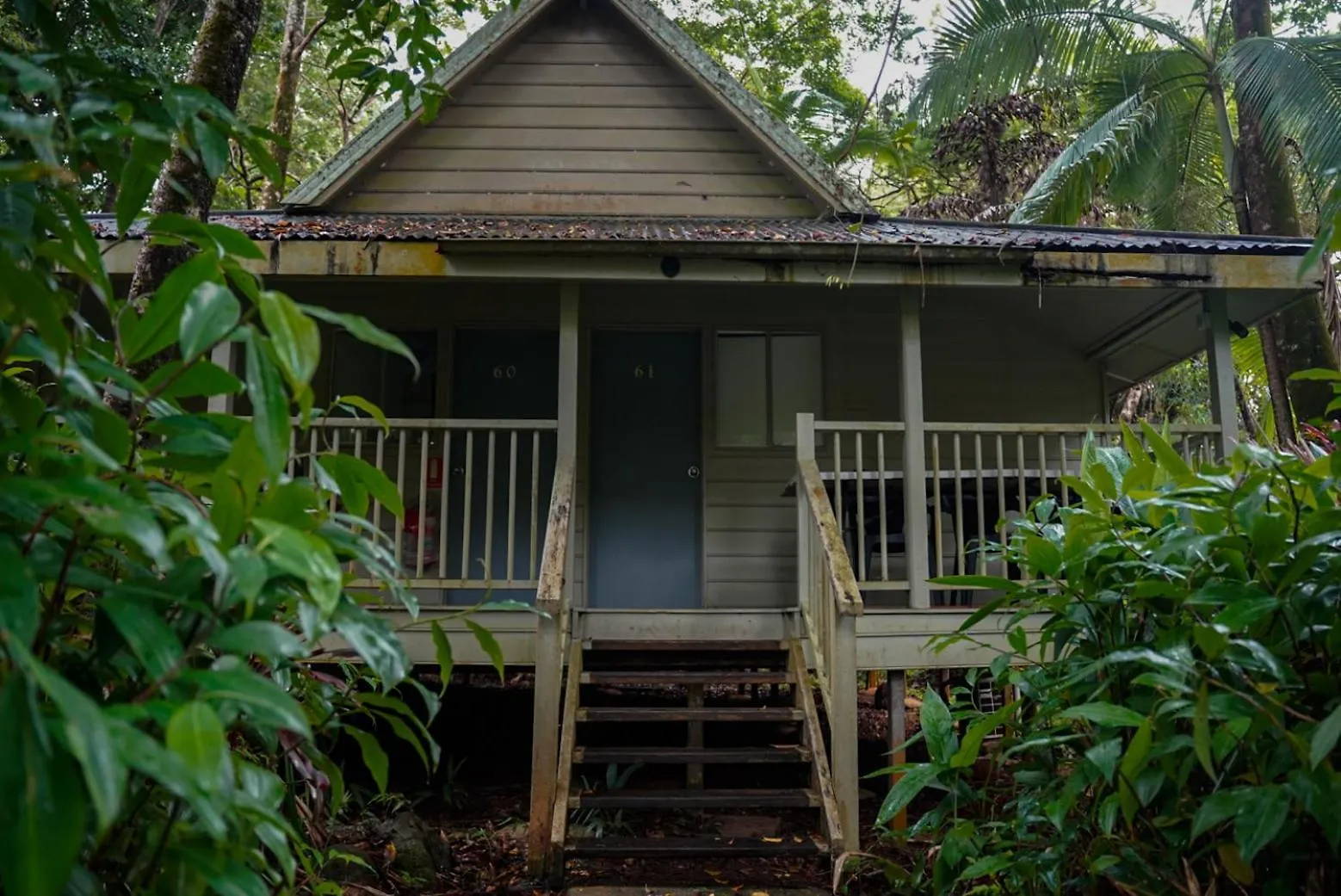 Ferntree Rainforest Lodge Cape Tribulation