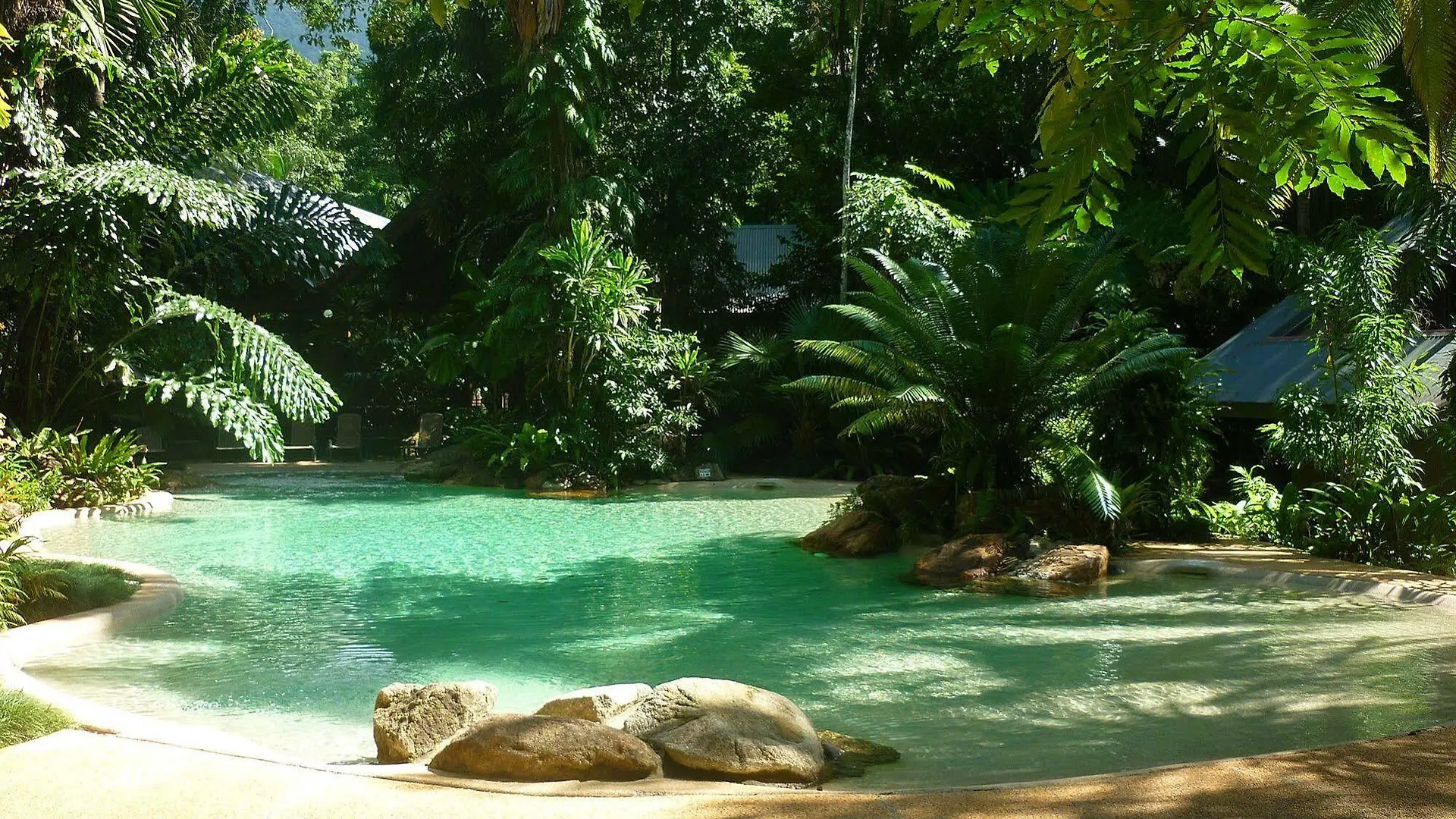 Ferntree Rainforest Lodge Cape Tribulation